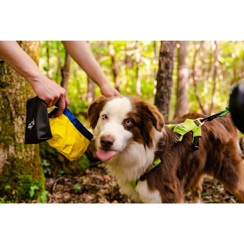 Gallatin Lightweight Collapsible Dog Bowl