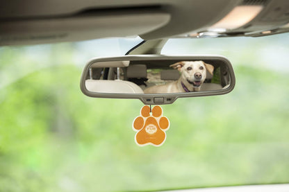 Pet House Car Air Freshener - Mandarin Sage Pack of 4 - Non-Toxic Car Air Freshener - Pet-Friendly Air Freshener for Small Spaces & Car - Hanging Odor Eliminating Air Freshener