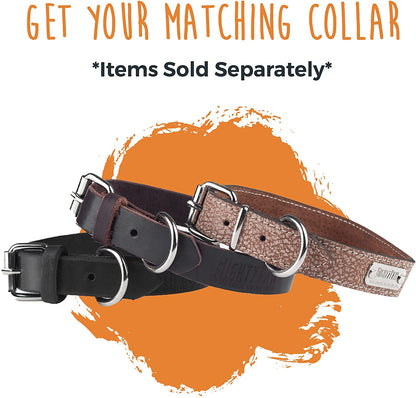 Leather Dog Leash - Genuine Distressed Material - Premium Leash - Suitable for All Pet Sizes - Dog Leash Collar Leather - Heavy Duty Dog Leash - Modern Dog Leash - Dark Leather Leash