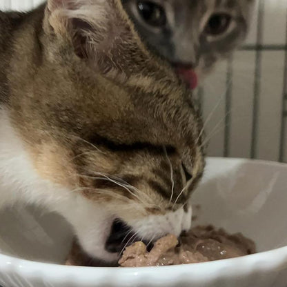 6.5" Extra Wide Ceramic Elevated Cat Bowl