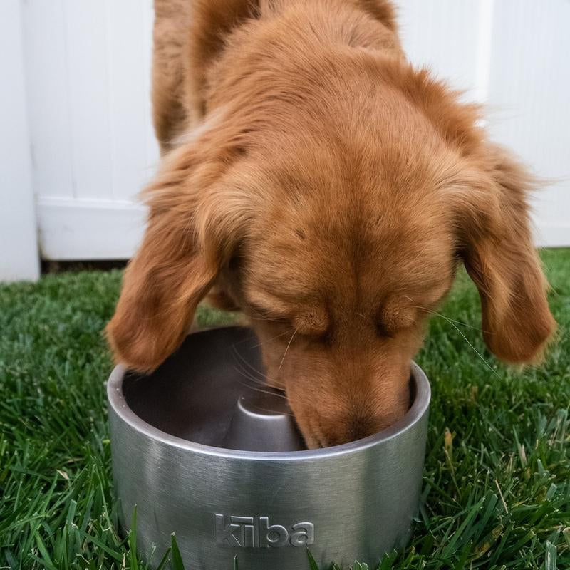 Ozark - Stainless Steel Dog Bowl - Slow Feed Element - Highest Quality